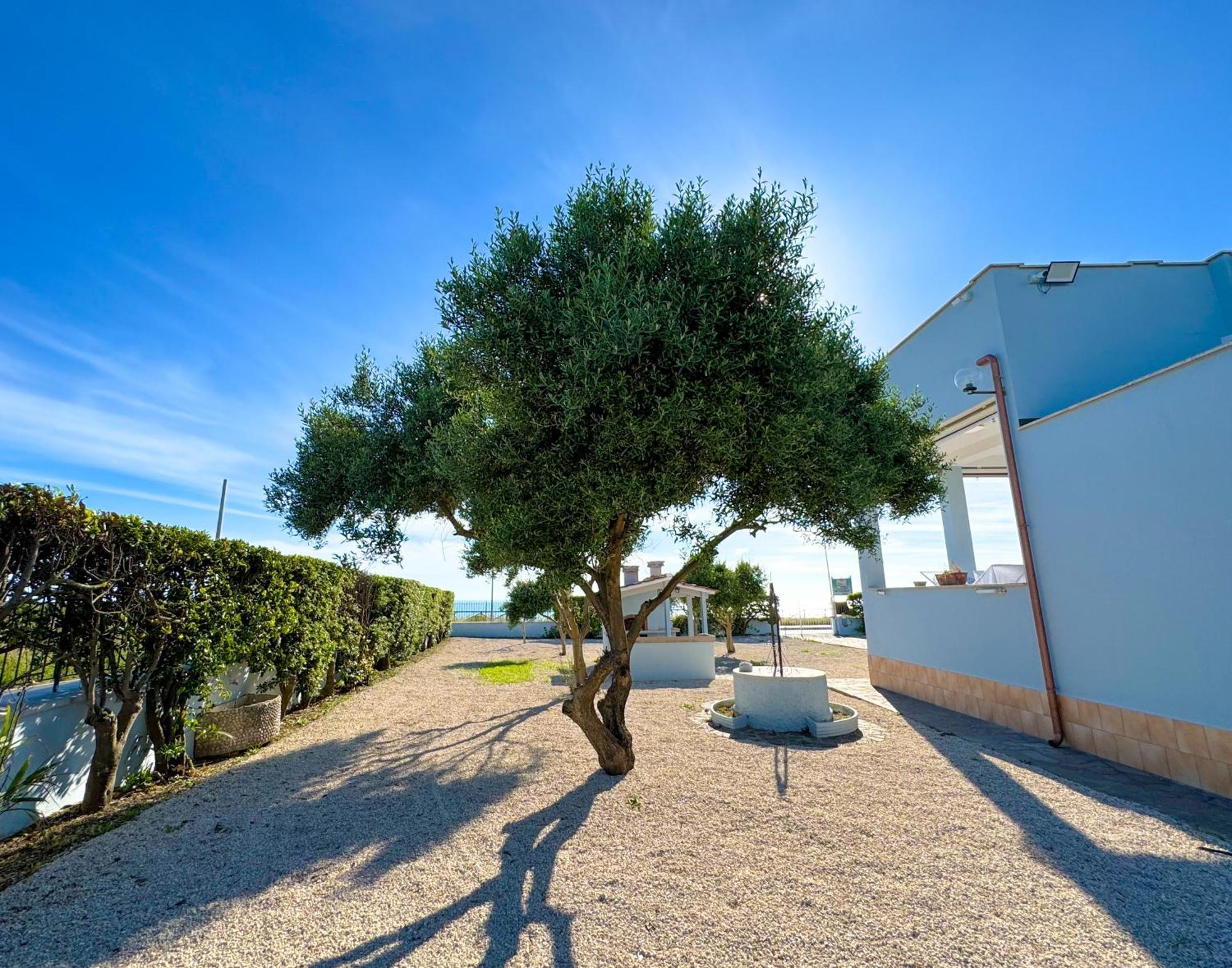 Edo House Anzio - Beachfront - Fronte Mare - Affittacamere Kültér fotó